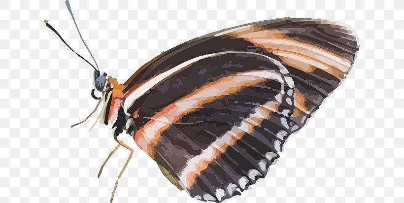 Brush-footed Butterflies Butterfly Insect Clip Art, PNG, 640x412px, Brushfooted Butterflies, Art, Arthropod, Brush Footed Butterfly, Butterflies And Moths Download Free