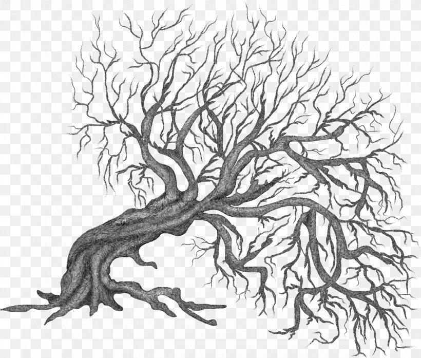 Clip Art Vector Graphics Image, PNG, 1175x999px, Twig, Art, Artwork, Black And White, Branch Download Free