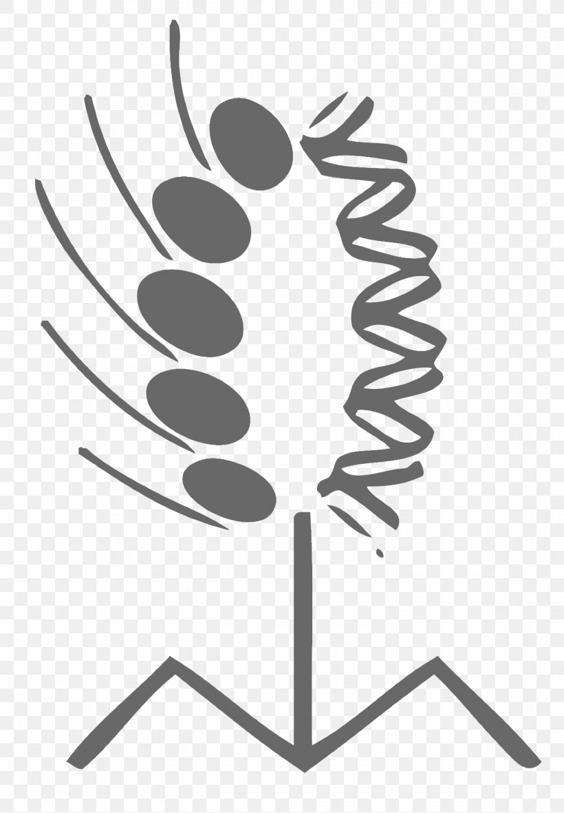 Doctor Biology Logo, PNG, 1190x1714px, Doctor, Biology, Black And White, Genetics, Logo Download Free