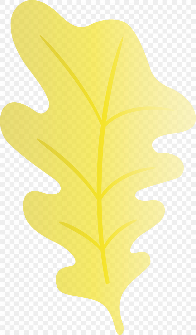 Leaf Tree Yellow Meter Line, PNG, 1756x3000px, Oak Leaf, Biology, Geometry, Leaf, Line Download Free