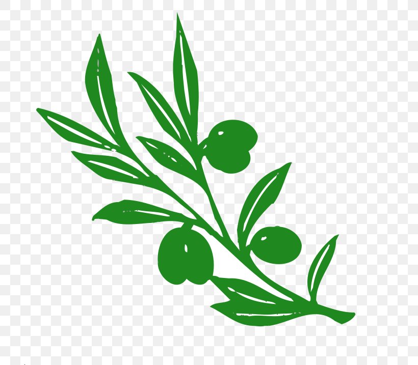 Olive Branch Olive Branch Tree Clip Art, PNG, 800x717px, Olive, Branch, Drawing, Flora, Flower Download Free