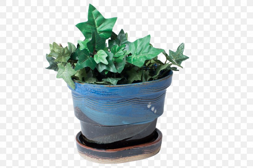 Plastic Flowerpot Leaf Houseplant Herb, PNG, 1920x1280px, Plastic, Flowerpot, Herb, Houseplant, Ivy Download Free