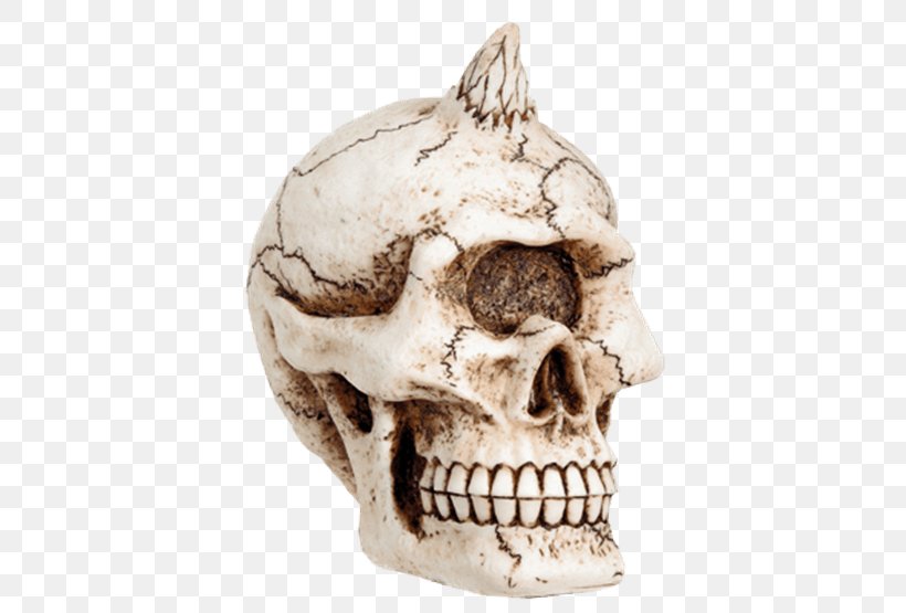 Skull Skeleton Bone Figurine Sculpture, PNG, 555x555px, Skull, Bone, Collectable, Crystal Skull, Cyclops Download Free