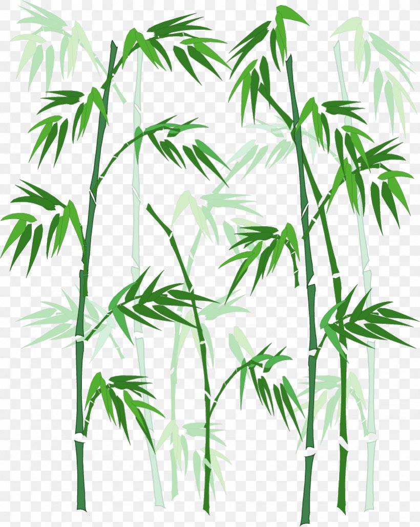 Bamboo, PNG, 821x1032px, Bamboo, Advertising, Arecales, Branch, Cartoon Download Free