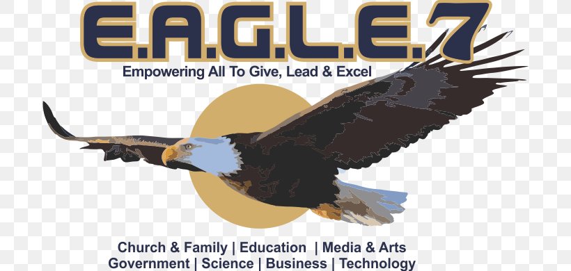 Golden Eagle Advertising Church Logo, PNG, 698x390px, Eagle, Accipitriformes, Advertising, Beak, Bird Download Free