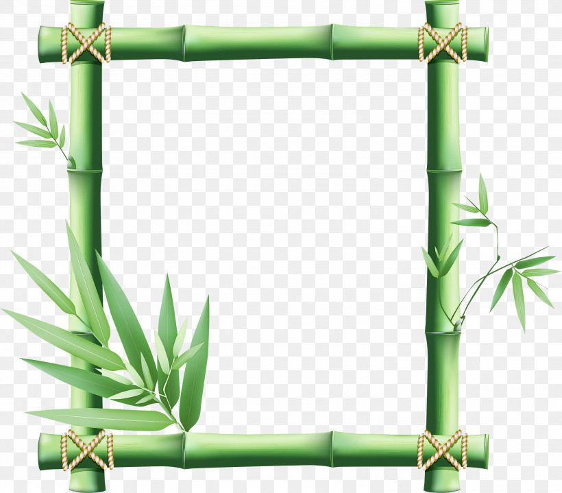 Picture Frame, PNG, 3000x2634px, Green, Bamboo, Grass, Picture Frame, Plant Download Free