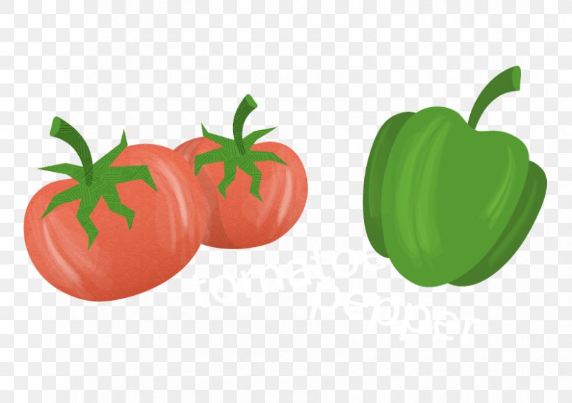 Tomato Bell Pepper Paprika, PNG, 842x595px, Tomato, Apple, Bell Pepper, Bell Peppers And Chili Peppers, Capsicum Download Free
