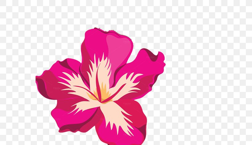 Tropics Desktop Wallpaper Clip Art, PNG, 600x473px, Tropics, Flower, Flowering Plant, Herbaceous Plant, Hibiscus Download Free