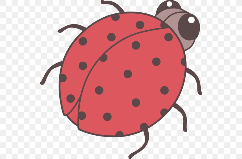 Beetle Drawing Ladybird Clip Art, PNG, 550x538px, Beetle, Art, Color, Cuteness, Drawing Download Free