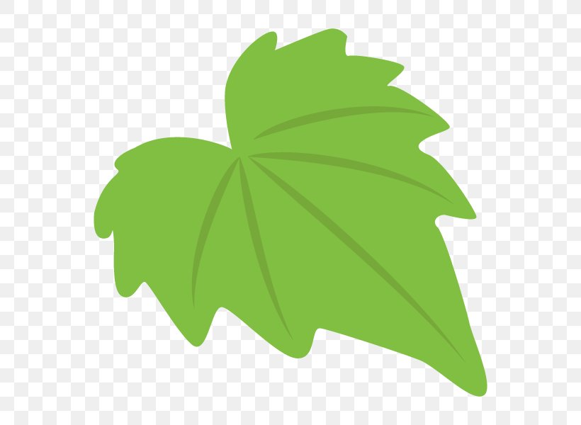 Leaf Clip Art Plant Stem Tree Flowering Plant, PNG, 600x600px, Leaf, Flowering Plant, Grass, Green, Plant Download Free