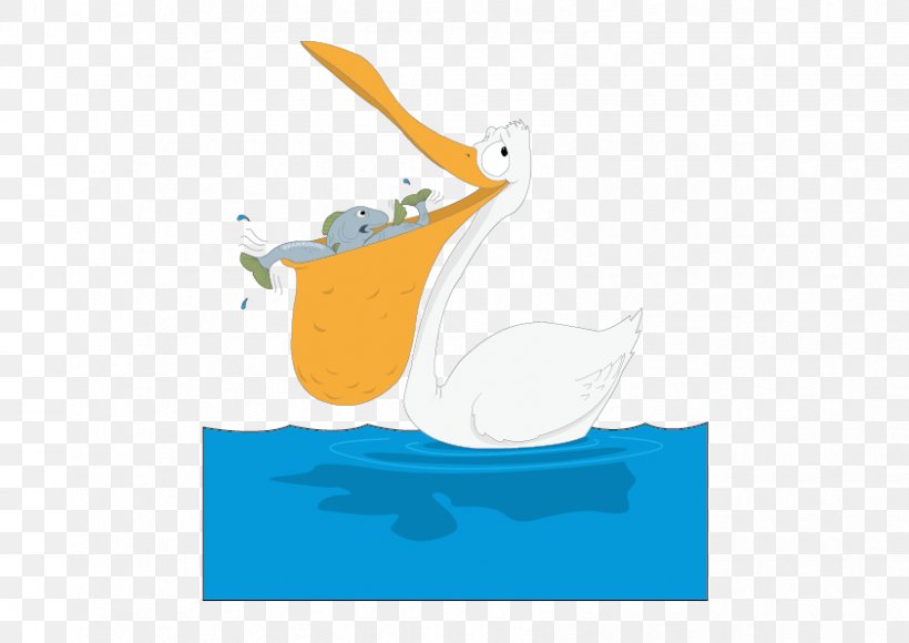 Duck Bird Pelican Goose Beak, PNG, 842x596px, Bird, Beak, Blue, Brand, Clip Art Download Free