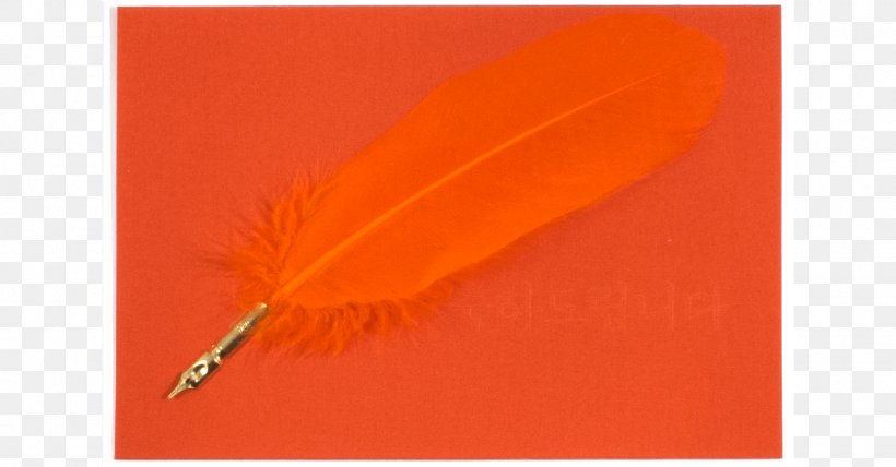 Feather, PNG, 1600x837px, Feather, Orange, Quill Download Free