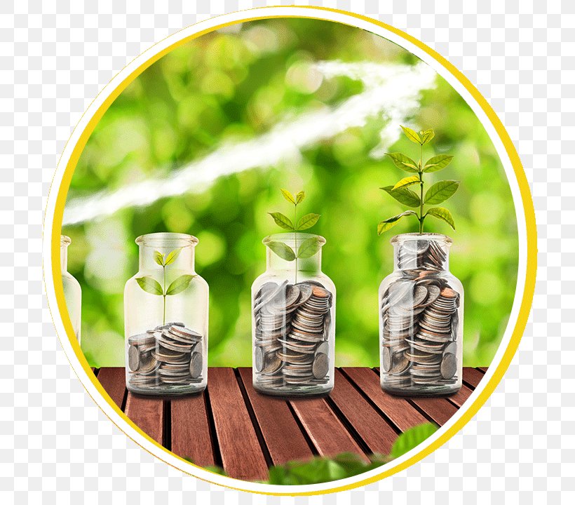 HarbourVest Global Private Equity Money LON:HVPE Stock Photography Saving, PNG, 720x720px, Money, Finance, Flowerpot, Grass, Harbourvest Partners Download Free
