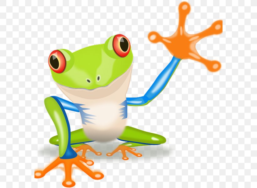 Red-eyed Tree Frog Clip Art, PNG, 600x600px, Frog, Amphibian, Animal, Blue Poison Dart Frog, Cartoon Download Free