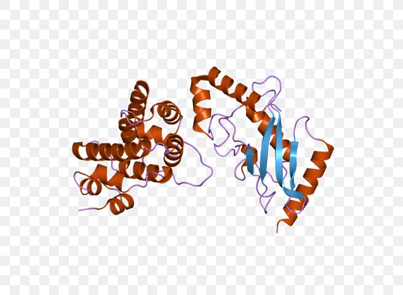 UBE2I RANGAP1 Ubiquitin-conjugating Enzyme Gene, PNG, 800x600px, Ubiquitinconjugating Enzyme, Computer, Enzyme, Gene, Genome Download Free