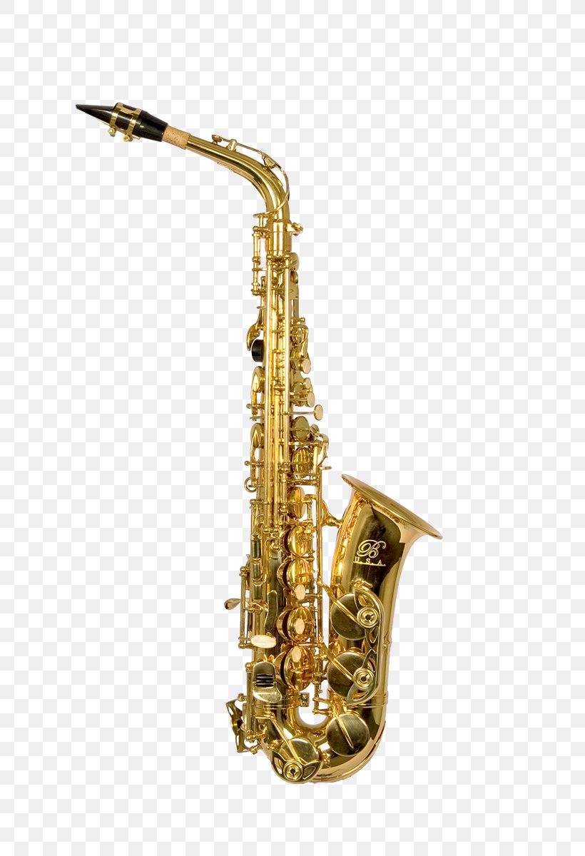 Alto Saxophone Clarinet Musical Instrument Soprano Saxophone, PNG, 800x1200px, Saxophone, Alto Saxophone, Baritone Saxophone, Brass, Brass Instrument Download Free