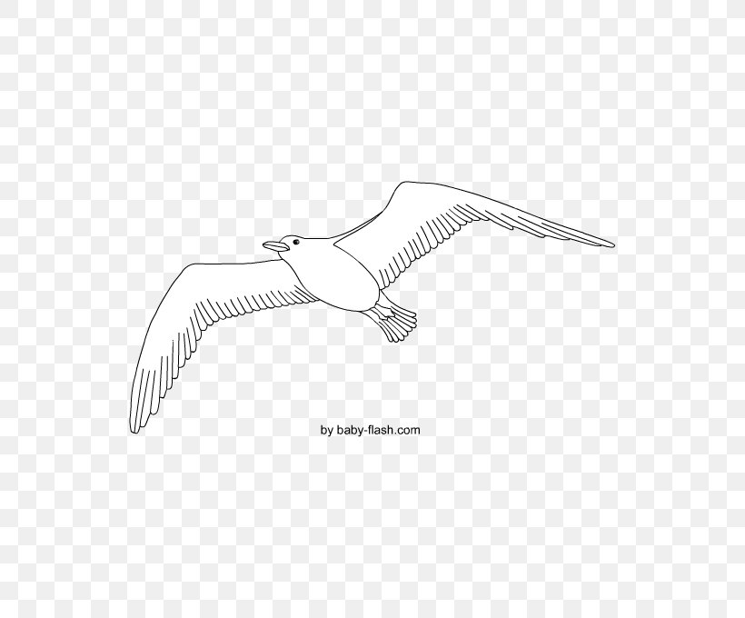 Product Design /m/02csf Drawing Line H&M, PNG, 567x680px, Drawing, Arm, Beak, Bird, Black And White Download Free