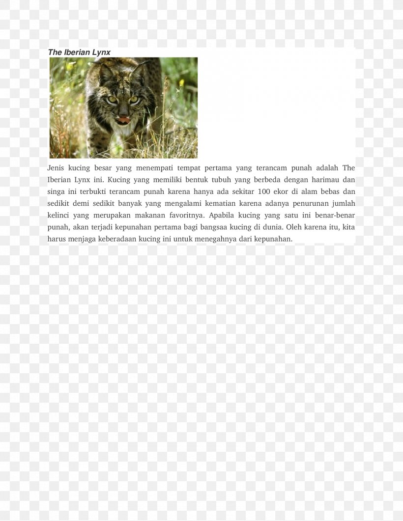 Mammal Dog Iberian Lynx Animal Carnivora, PNG, 1700x2200px, Mammal, Animal, Canidae, Carnivora, Carnivoran Download Free