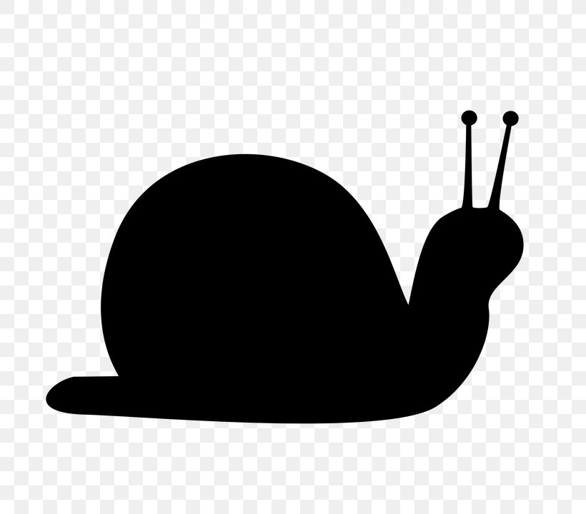 Snail Clip Art, PNG, 720x720px, Snail, Black, Black And White, Drawing, Raster Graphics Download Free
