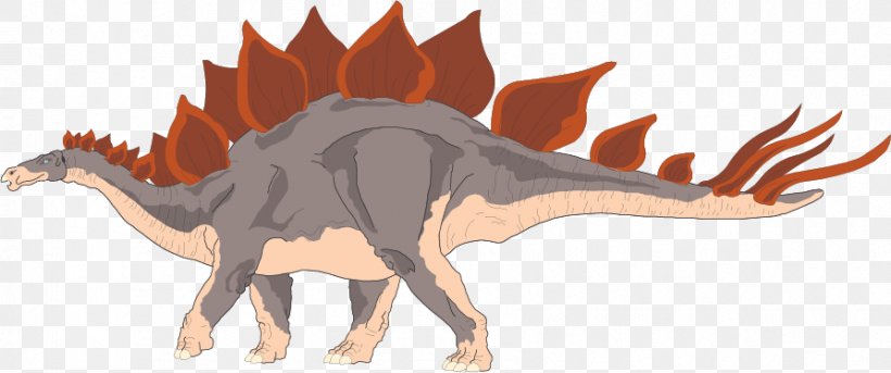 Velociraptor Stegosaurus Tyrannosaurus Triceratops Dinosaur, PNG, 893x374px, Velociraptor, Dinosaur, Dragon, Fictional Character, Grey Download Free