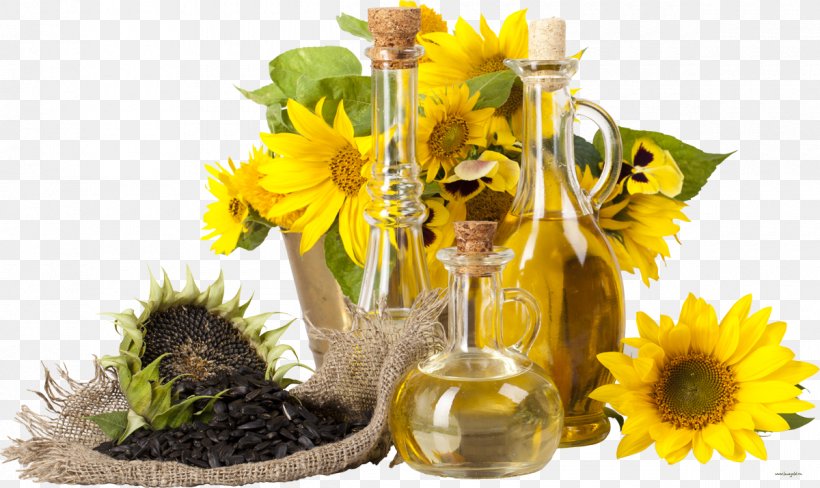 Sunflower Oil Nutrient Common Sunflower Cooking Oils, PNG, 1200x715px, Sunflower Oil, Alphalinolenic Acid, Antioxidant, Chemical Substance, Common Sunflower Download Free