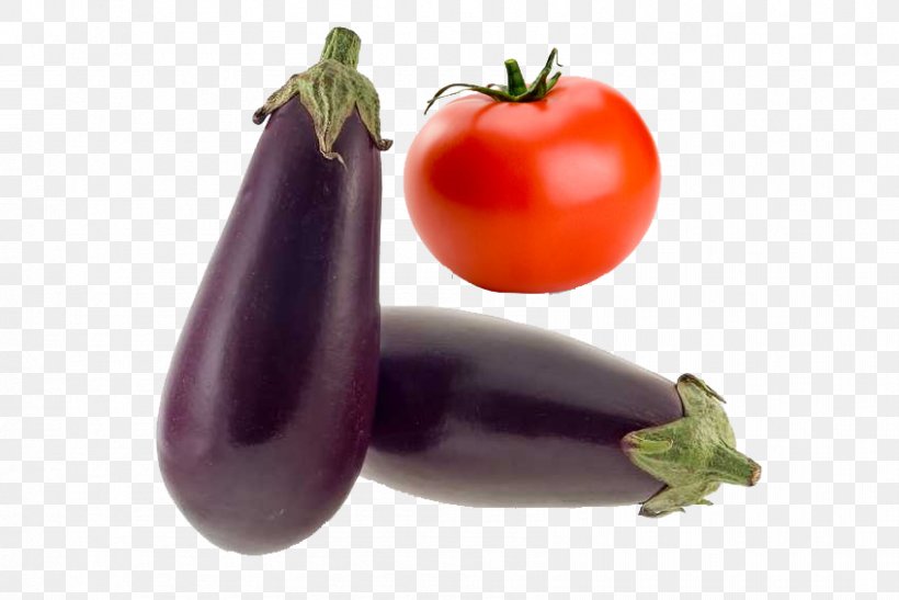 Tomato Eggplant Vegetable Vegetarian Cuisine Food, PNG, 848x566px, Tomato, Bell Pepper, Bell Peppers And Chili Peppers, Bush Tomato, Diet Download Free