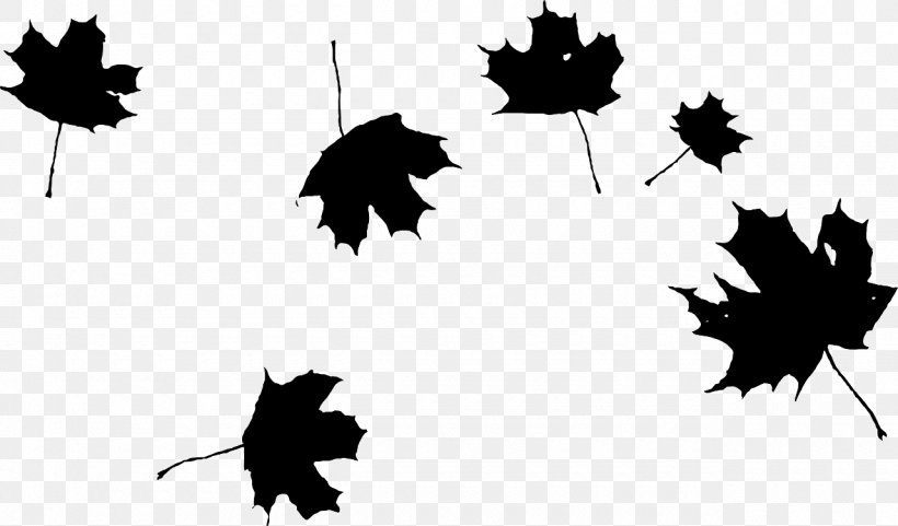 Autumn Leaf Color Clip Art, PNG, 1280x751px, Autumn Leaf Color, Autumn, Birch, Black, Black And White Download Free