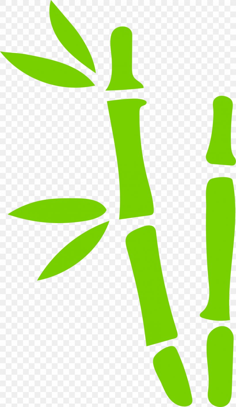 Bamboo Bamboe Green Euclidean Vector, PNG, 1501x2585px, Bamboo, Bamboe, Drawing, Grass, Green Download Free