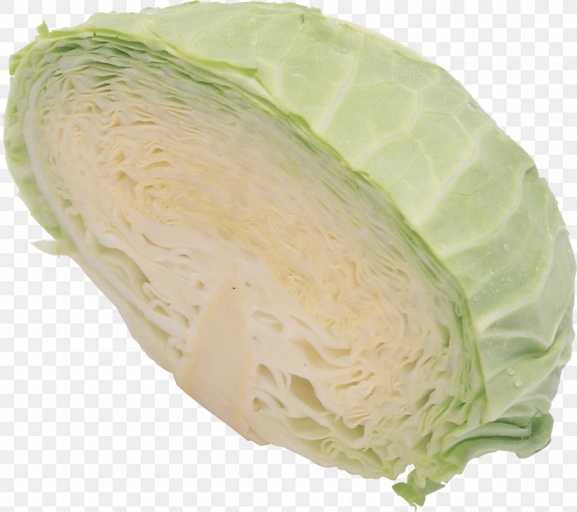 Cabbage Image, PNG, 1578x1401px, Cabbage, Brassica Oleracea, Broccoli, Cauliflower, Chinese Cabbage Download Free