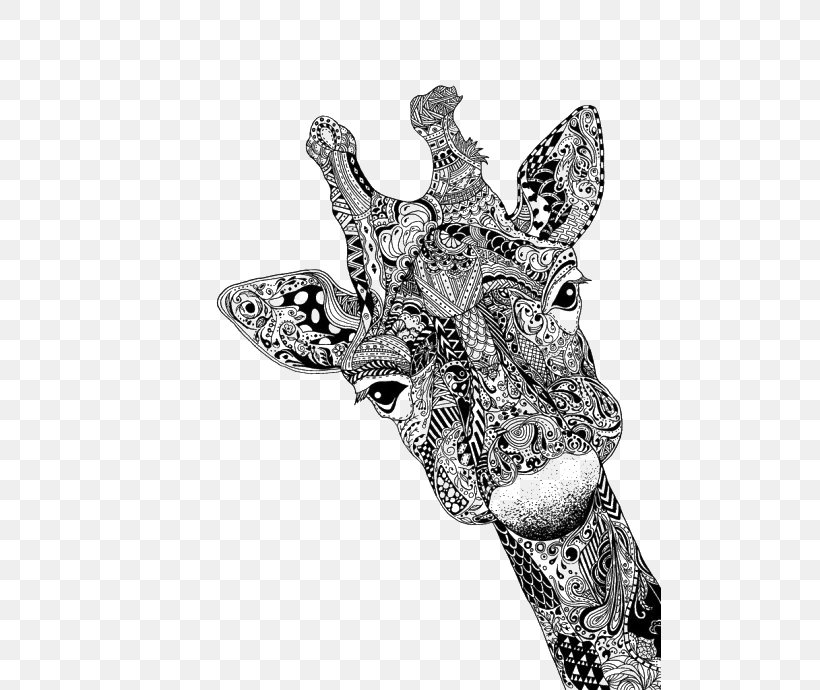 Deer Giraffe Drawing Animal Sketch, PNG, 502x690px, Deer, Animal, Art, Black And White, Close Up Download Free
