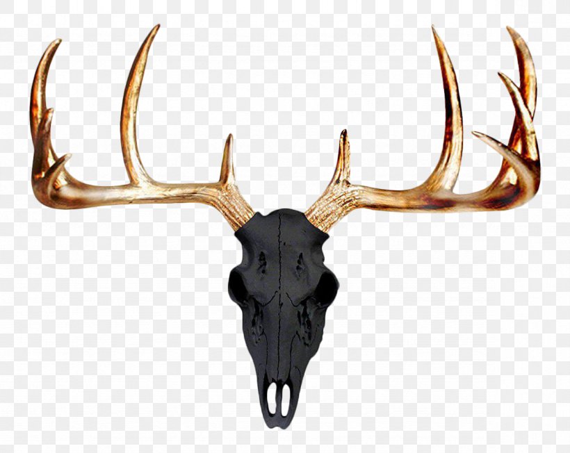 Mule Deer Antler Wall Skull, PNG, 1178x937px, Deer, Accent Wall, Antler, Bust, Elk Download Free