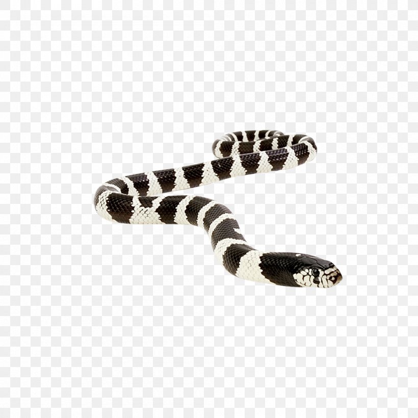 Snake Vipers Reptile Anaconda King Cobra, PNG, 1000x1000px, Snake, Anaconda, Boas, Boinae, Cobra Download Free