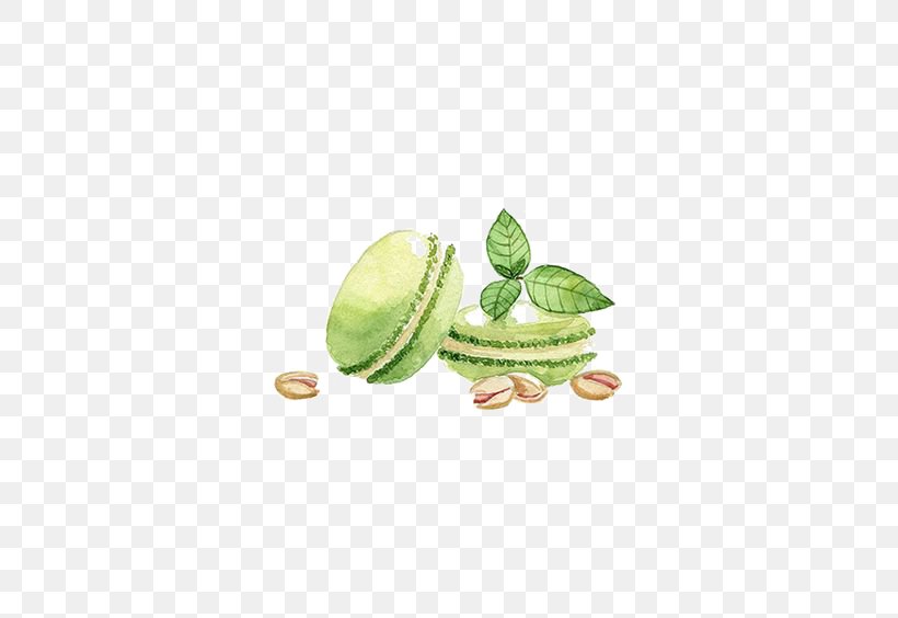 Watercolor Painting Drawing Illustration Image, PNG, 564x564px, Watercolor Painting, Art, Common Guava, Dessert, Drawing Download Free