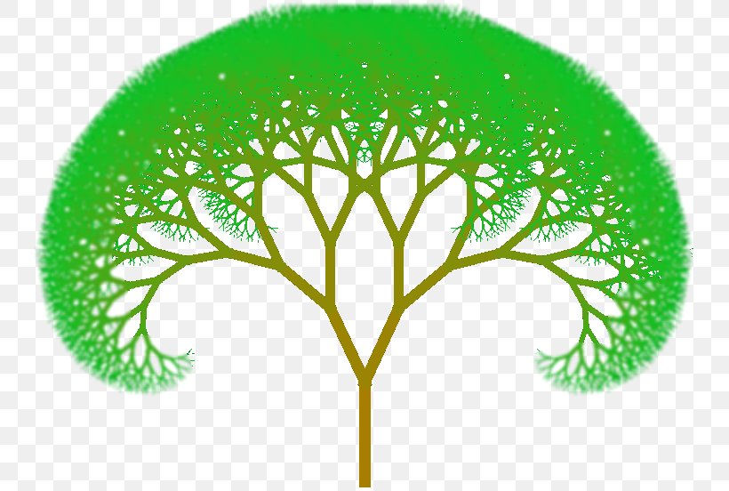 Fractal Tree Index Fractal Tree Index Drawing Clip Art, PNG, 744x552px, Fractal, Animation, Branch, Drawing, Flora Download Free