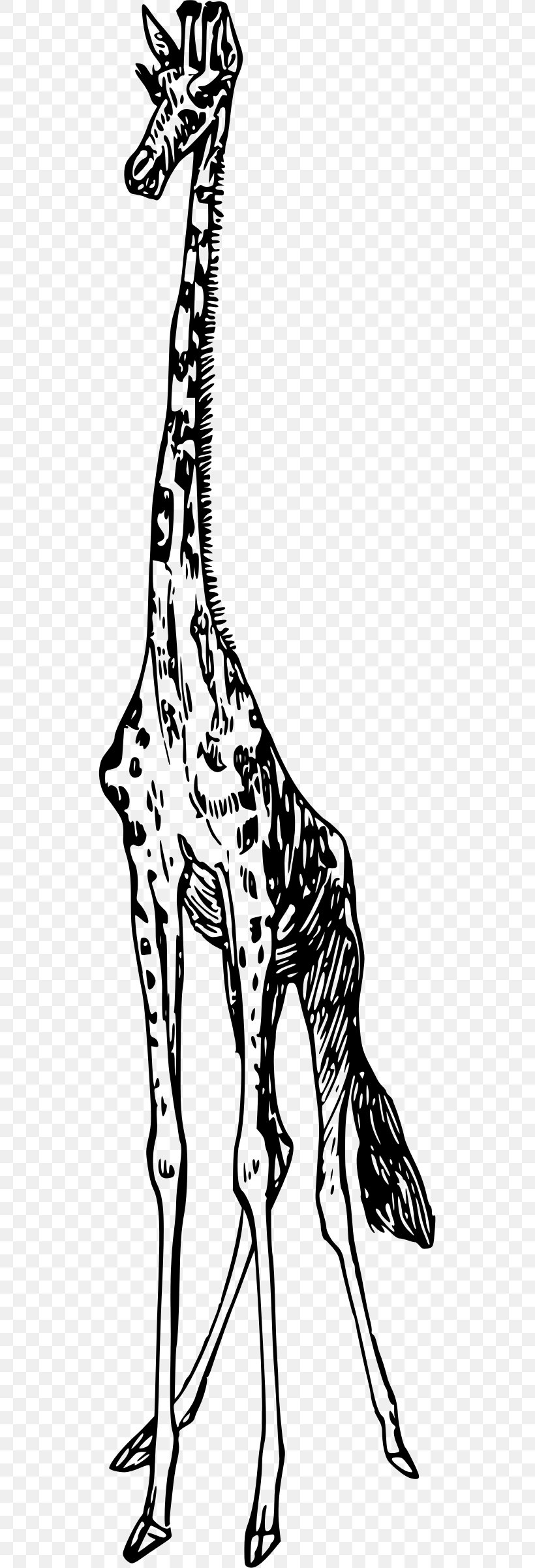 Giraffe Clip Art, PNG, 517x2400px, Giraffe, Animal, Animal Figure, Black And White, Fauna Download Free