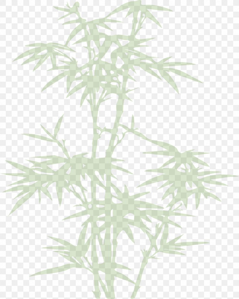 Joëlle COUARD Bamboo Plant, PNG, 1024x1280px, Bamboo, Branch, Grass, Image File Formats, Leaf Download Free