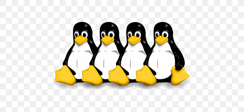 Linux Android Microsoft Windows Operating Systems Installation, PNG, 780x376px, Linux, Android, Beak, Bird, Flightless Bird Download Free
