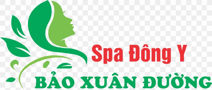 Logo Graphic Design Brand Traditional Chinese Medicine Clip Art, PNG, 1438x613px, Logo, Brand, Green, Medicine, Spa Download Free