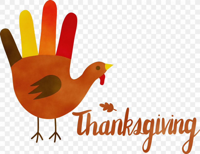 Thanksgiving, PNG, 3000x2318px, Thanksgiving, Beak, Biology, Chicken, Landfowl Download Free