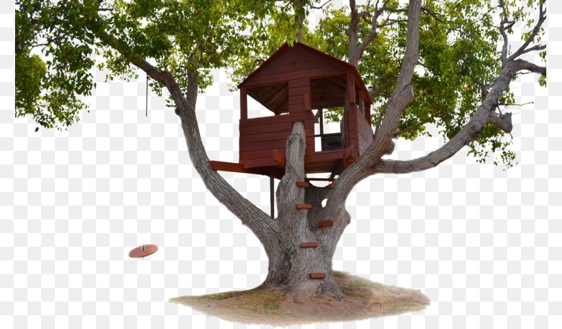 Tree House Building, PNG, 775x480px, Tree House, Art, Branch, Building, Floor Plan Download Free