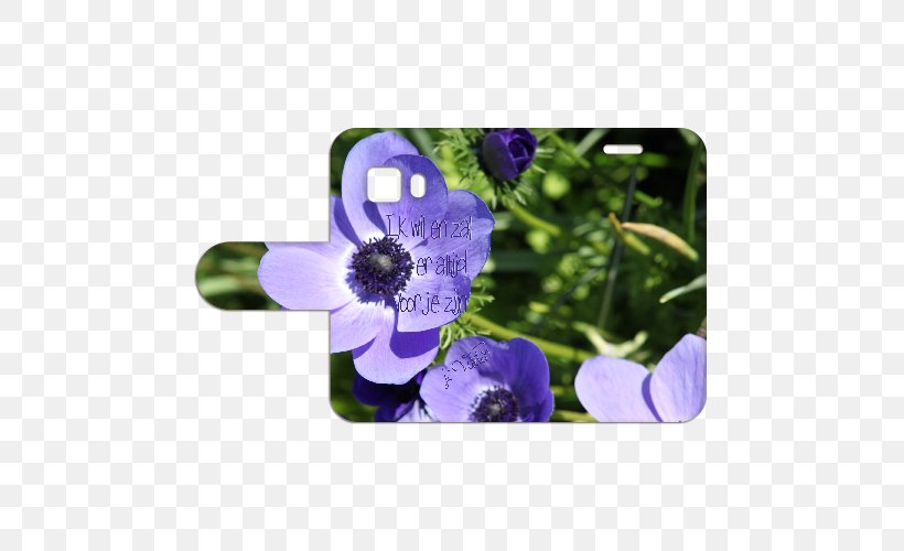 Anemone Petal Wildflower, PNG, 500x500px, Anemone, Bluebonnet, Flora, Flower, Flowering Plant Download Free