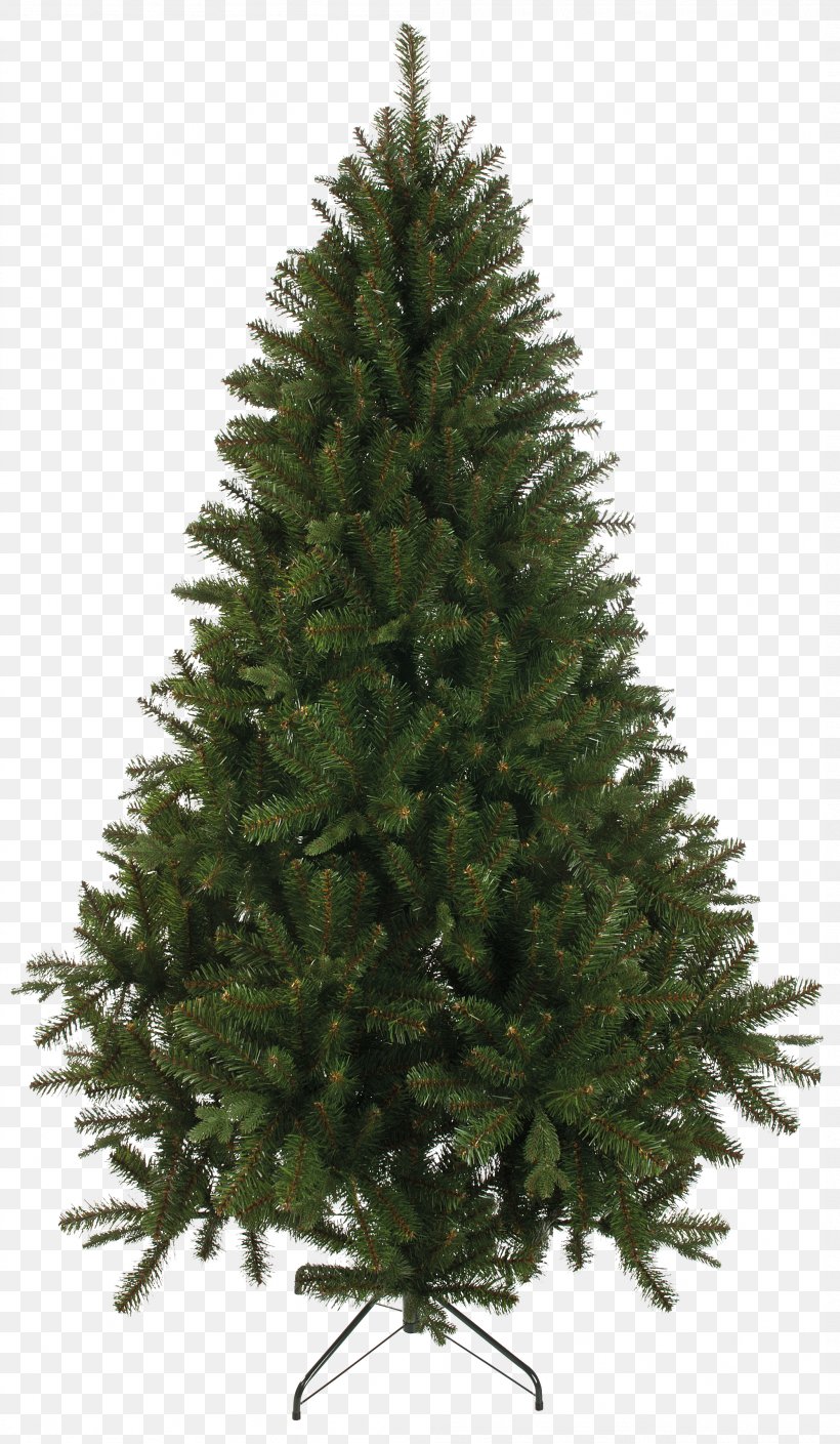 Artificial Christmas Tree Pine, PNG, 1998x3434px, Artificial Christmas Tree, Abies Grandis, Balsam Hill, Biome, Christmas Download Free