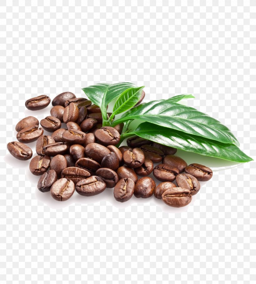 Coffee Bean Cold Brew Cocoa Bean Coffee Roasting, PNG, 900x1000px, Coffee, Bean, Brewed Coffee, Caffeine, Chocolate Download Free