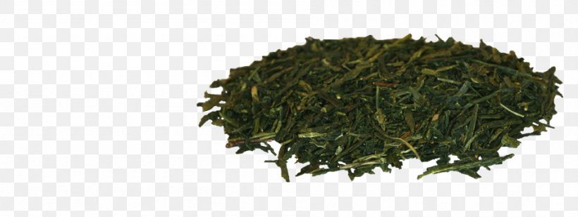Nilgiri Tea Gyokuro Leaf Vegetable Tea Plant, PNG, 948x358px, Nilgiri Tea, Assam Tea, Bancha, Biluochun, Ceylon Tea Download Free