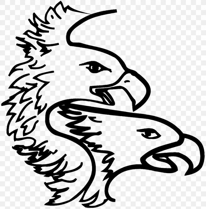 Clip Art Drawing Beak Illustration, PNG, 900x911px, Drawing, Accipitriformes, Art, Bald Eagle, Beak Download Free