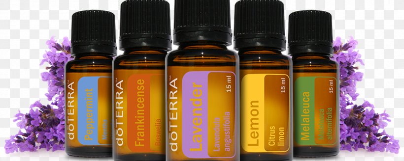 Essential Oil Young Living DoTerra Aromatherapy, PNG, 1800x720px, Essential Oil, Aromatherapy, Bottle, Cosmetics, Doterra Download Free