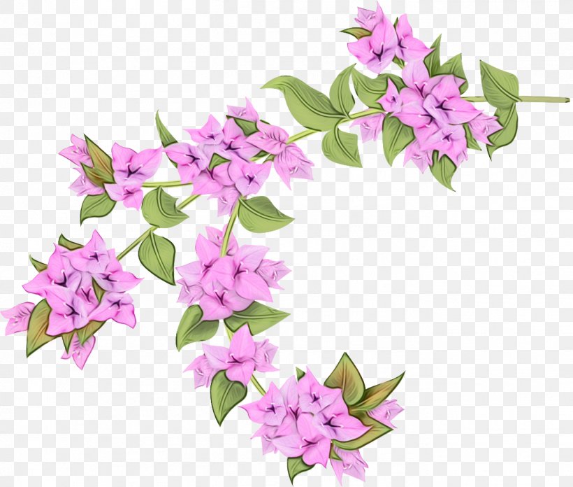Flower Flowering Plant Pink Plant Lilac, PNG, 1366x1161px, Watercolor, Bougainvillea, Branch, Flower, Flowering Plant Download Free