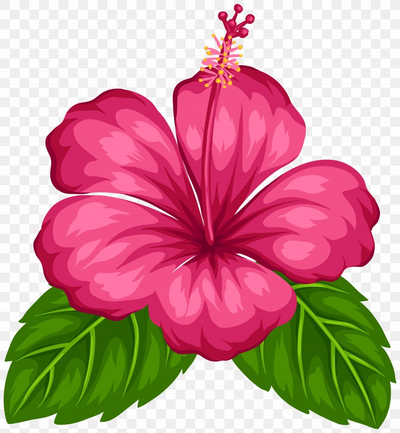 Good Morning Android Greeting, PNG, 7375x8000px, Good, Android, Annual Plant, China Rose, Chinese Hibiscus Download Free