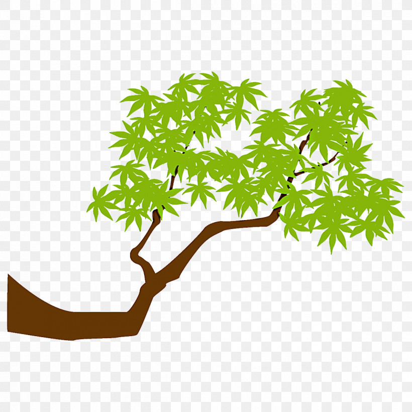 Maple Branch Maple Leaves Maple Tree, PNG, 1200x1200px, Maple Branch, Branch, Flower, Green, Leaf Download Free