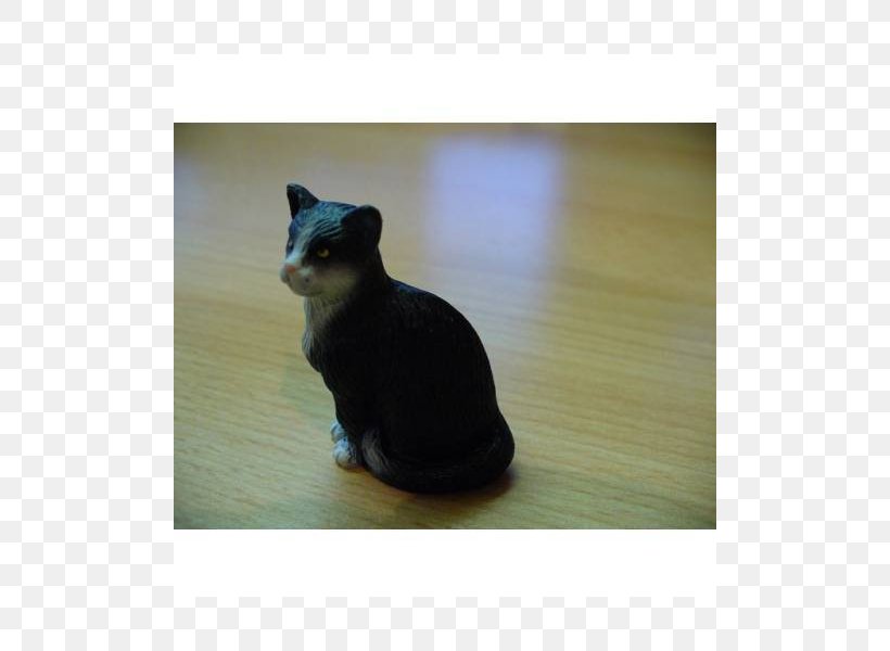 Whiskers Cat, PNG, 800x600px, Whiskers, Black Cat, Carnivoran, Cat, Cat Like Mammal Download Free